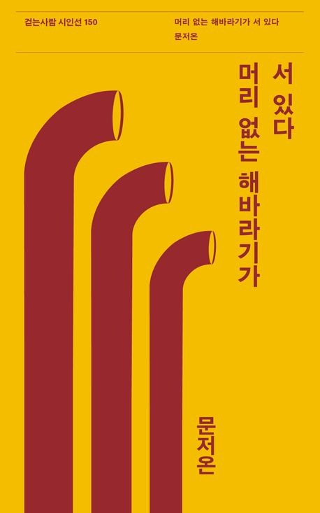 머리 없는 해바라기가 서 있다.jpg