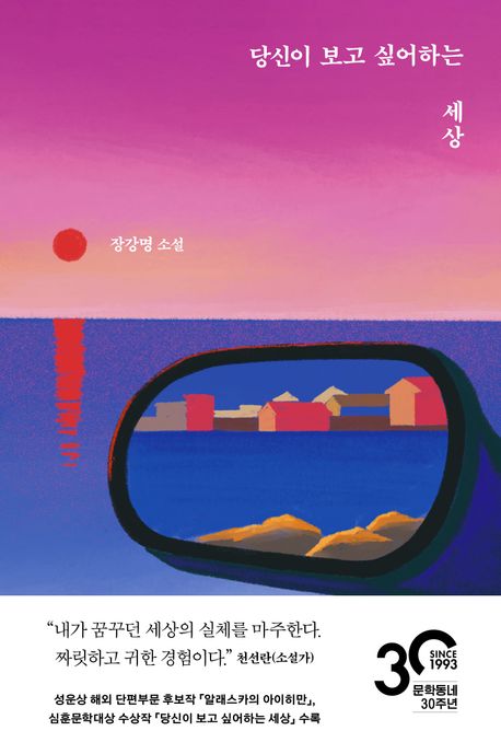 당신이 보고 싶어하는 세상