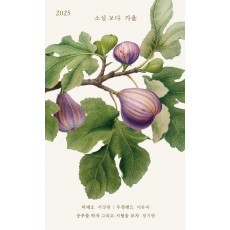 소설 보다: 가을 2025