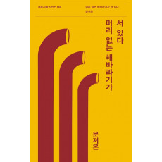 머리 없는 해바라기가 서 있다